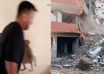 Hasarlı binadan yavru köpekleri kurtardı