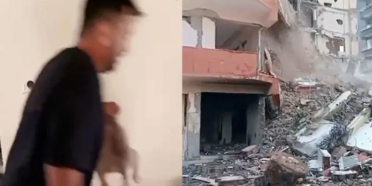 Hasarlı binadan yavru köpekleri kurtardı