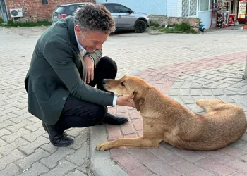 Sarıbal: Yaşamdan, yaşatmadan yana duracağım!