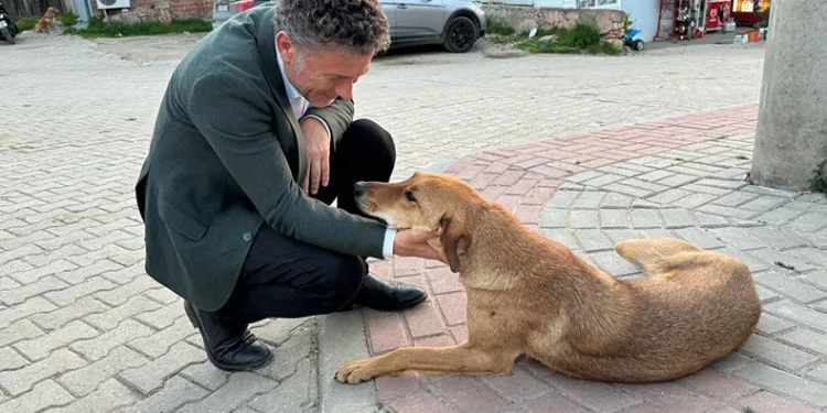 Sarıbal: Yaşamdan, yaşatmadan yana duracağım!