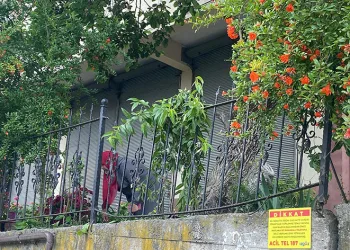 Ağaçtan düşerek demir korkuluklara saplandı