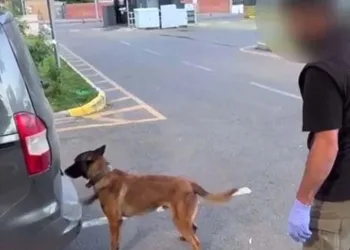 Batman’da uyuşturucu operasyonu