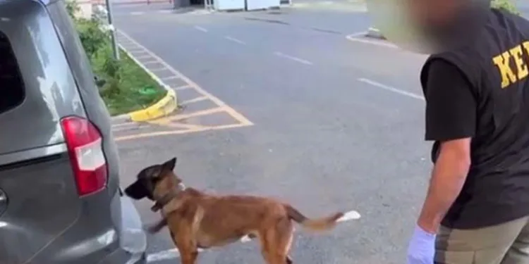 Batman’da uyuşturucu operasyonu