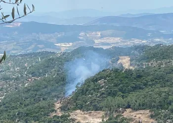 Milas’taki orman yangını büyümeden söndürüldü