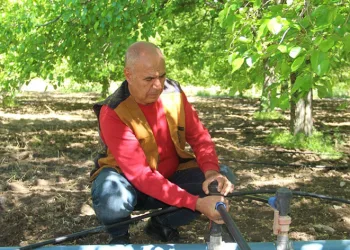 Dut üreticileri yeni sezon için bahçeye indi