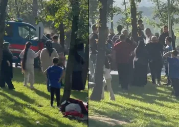 Bursa’da piknik alanında satırlı masa kavgası