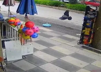 Cips çalmaya çalışırken dükkan sahibine yakalandı