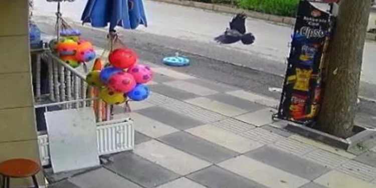 Cips çalmaya çalışırken dükkan sahibine yakalandı