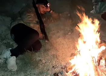 Çiftçiler ellerinde tüfeklerle domuz nöbeti tutuyor