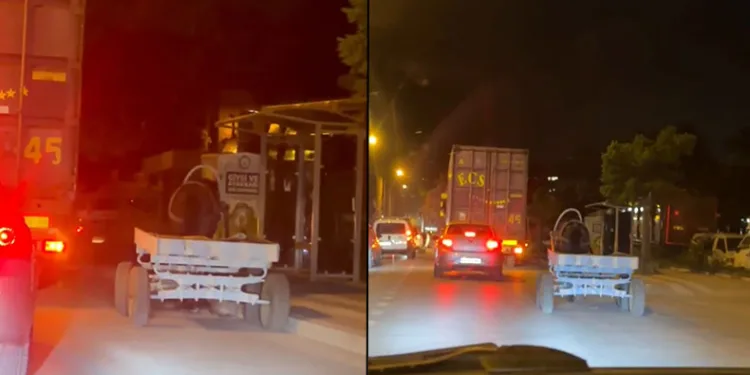 Başıboş at arabası şehir turu attı, görenler şaştı kaldı