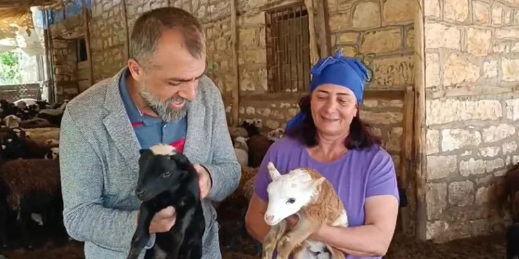 10 koyunla başladı, şimdi kendi işinin patronu oldu