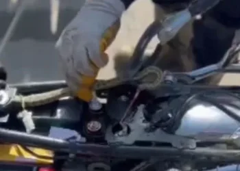 Motosiklete giren yılan, ekipler tarafından çıkarıldı