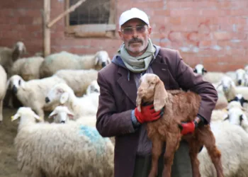 Meşhur muhtar dolandırıldı, derdini şiirle anlattı