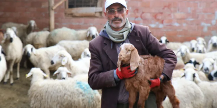Meşhur muhtar dolandırıldı, derdini şiirle anlattı