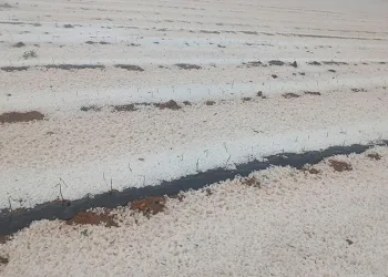 Dolu arazileri beyaz örtüyle kapladı