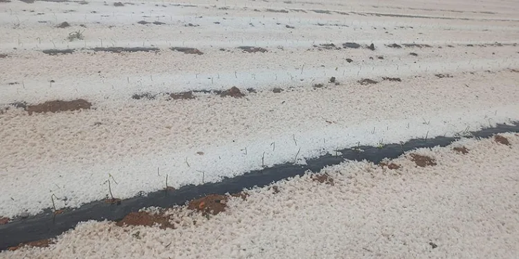 Dolu arazileri beyaz örtüyle kapladı