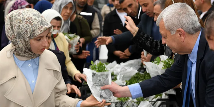 Osmangazi Belediyesi’nden vatandaşa 100 bin fide