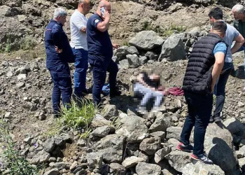 Yol kenarında ceset bulundu