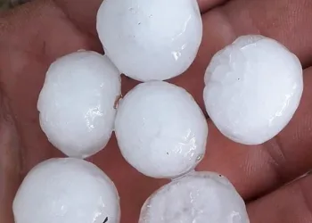 Mersin’de yağmur ve dolu bahçelerde zarara yol açtı