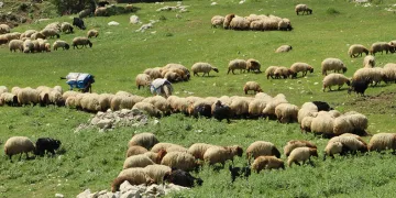Zorlu yolcuğu başladı