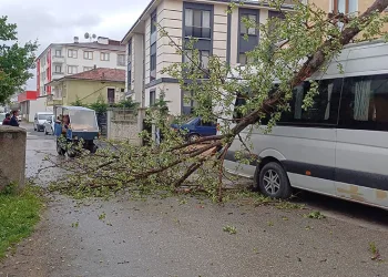 Fırtına ağaçları devirdi, 2 araç ağaçların altında kaldı