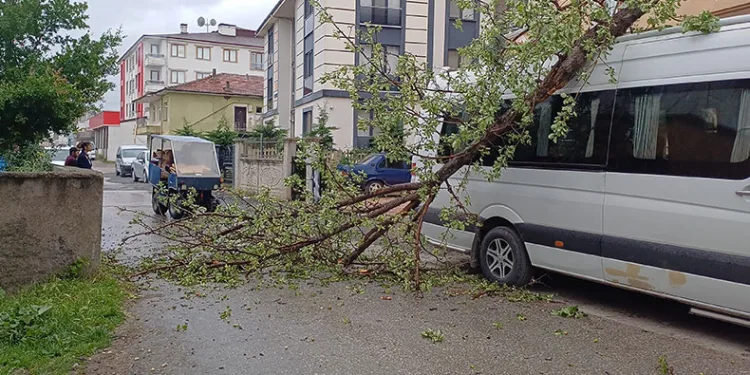 Fırtına ağaçları devirdi, 2 araç ağaçların altında kaldı