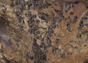 Korku filmlerini aratmayan mağara