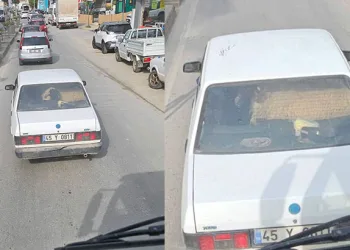 Otomobilin arka koltuğunda koyunu görenler şaştı kaldı