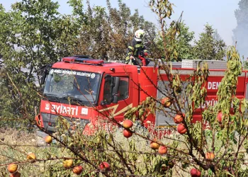 Örtü yangını ormana sıçramadan söndürüldü