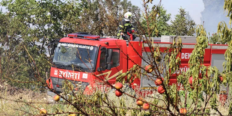 Örtü yangını ormana sıçramadan söndürüldü