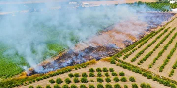 Adana’da anız yakmak yasaklandı