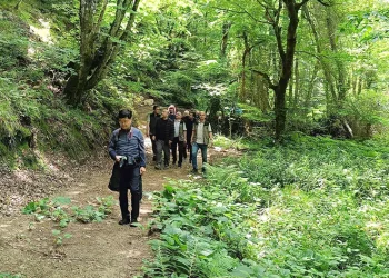 Mustafakemalpaşa ormanları mercek altında