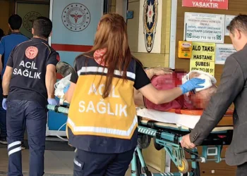 Kiraz ağacından düşen adam ağır yaralandı