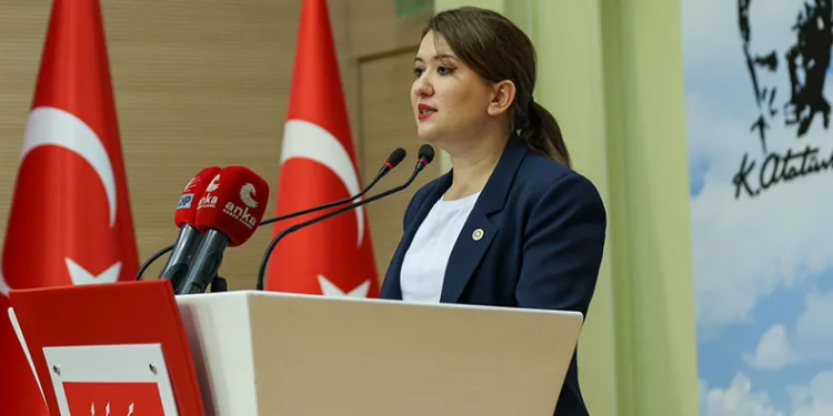 “Yeni bir Anayasa krizi çıkarmayın”