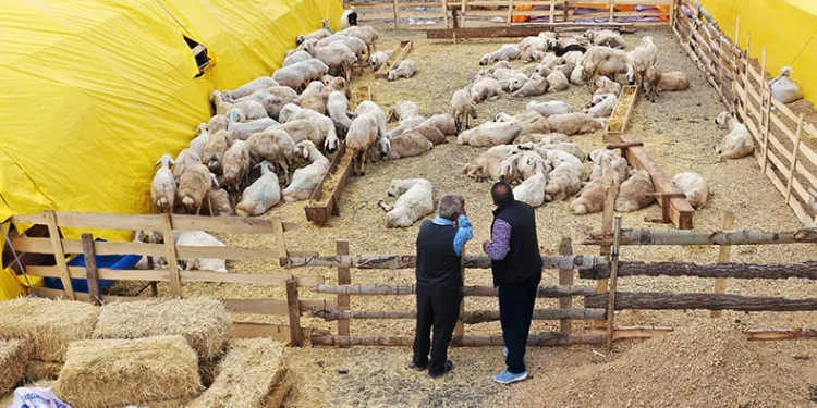 Keçiören’de kurban satış alanları için başvurular başladı