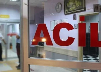 Yem hazırlama ünitesine düşen işçi öldü