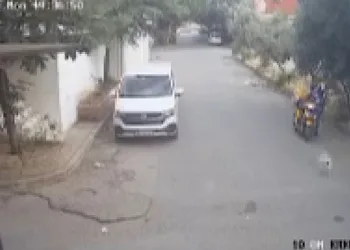 Bilye atan havalı tabancayla köpeğe ateş açtı