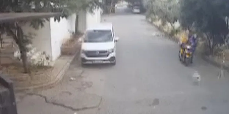 Bilye atan havalı tabancayla köpeğe ateş açtı