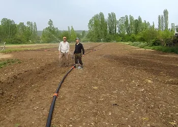 Kuraklık pancar üreticisini vurdu