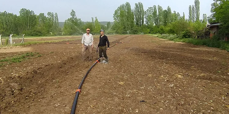Kuraklık pancar üreticisini vurdu