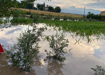 Osmaniye’de tarım arazileri sel suları altında kaldı