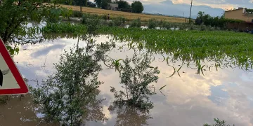 Osmaniye’de tarım arazileri sel suları altında kaldı