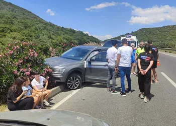 Milas’ta otomobilin çarptığı köpek telef oldu