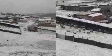 Tokat’ta mayıs karı yaylayı beyaza bürüdü