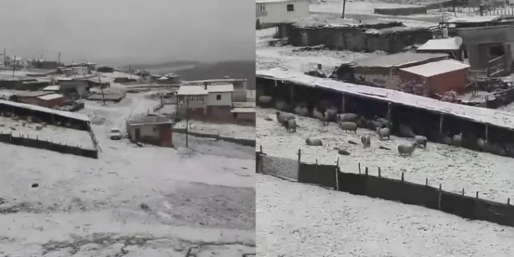 Tokat’ta mayıs karı yaylayı beyaza bürüdü