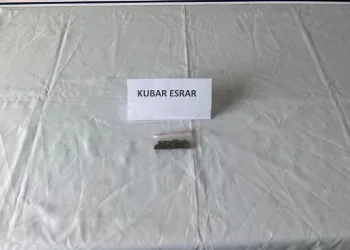 Jandarmadan uyuşturucu operasyonu: 6 gözaltı