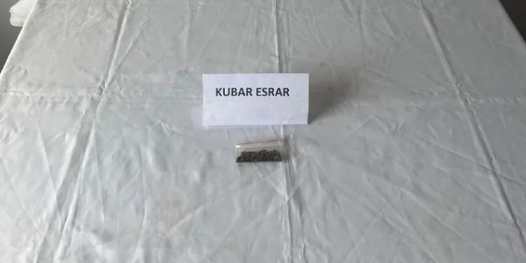 Jandarmadan uyuşturucu operasyonu: 6 gözaltı