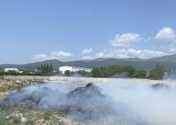 Atıl haldeki samanlar alev alev yandı