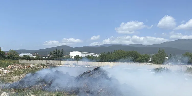 Atıl haldeki samanlar alev alev yandı