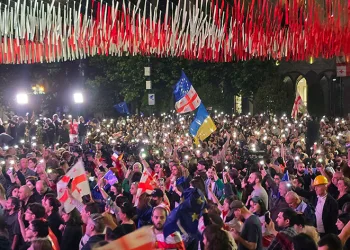 Gürcistan Cumhurbaşkanı’ndan referandum teklifi